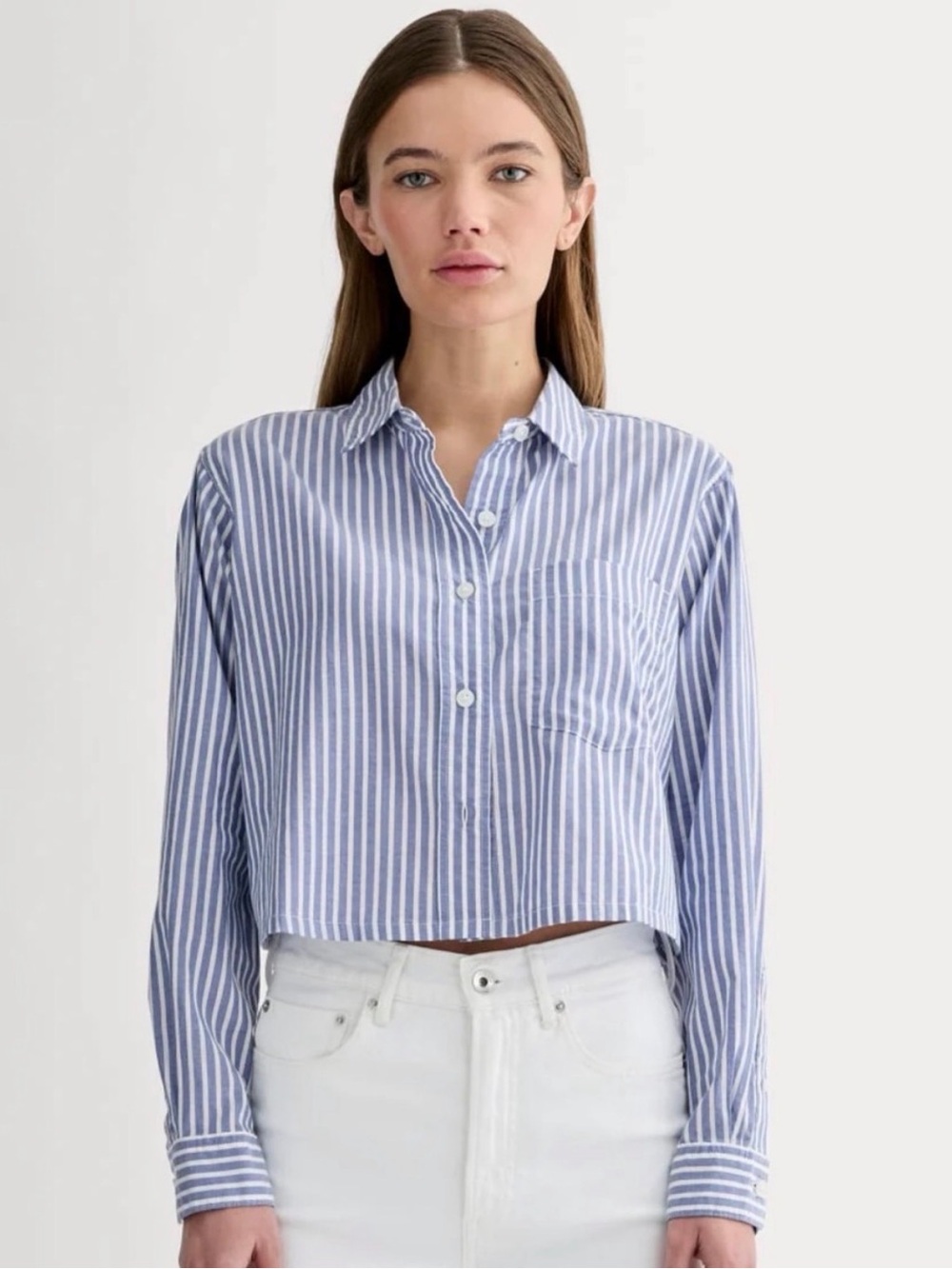 Everlane Light Blue and White Striped Button-Down Crop Shirt